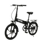 Go Smart E-Bike 350W